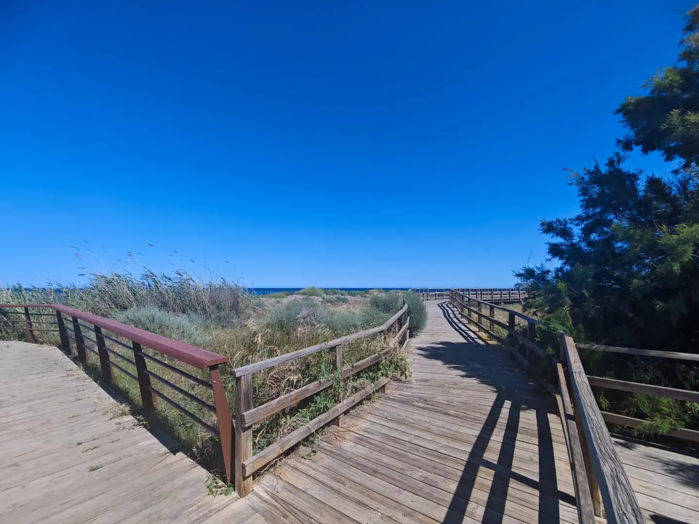 Vista exterior de Casa o xalet en venda en San Pedro del Pinatar amb Jardí privat, Terrassa i Traster