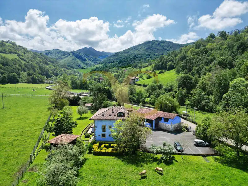 Vista exterior de Casa o chalet en venta en Cangas de Onís