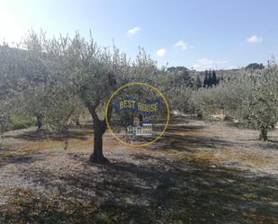 Land for sale in Ontinyent