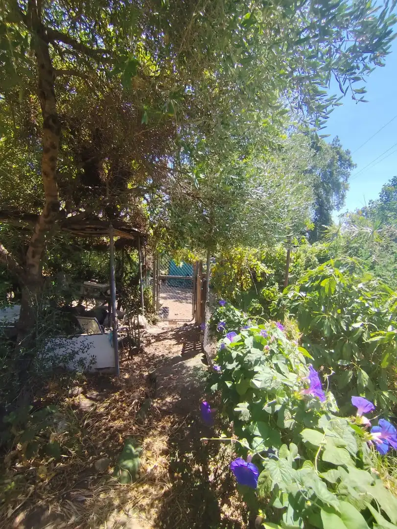 Terrenos y solares en venta en San García, imagen 3