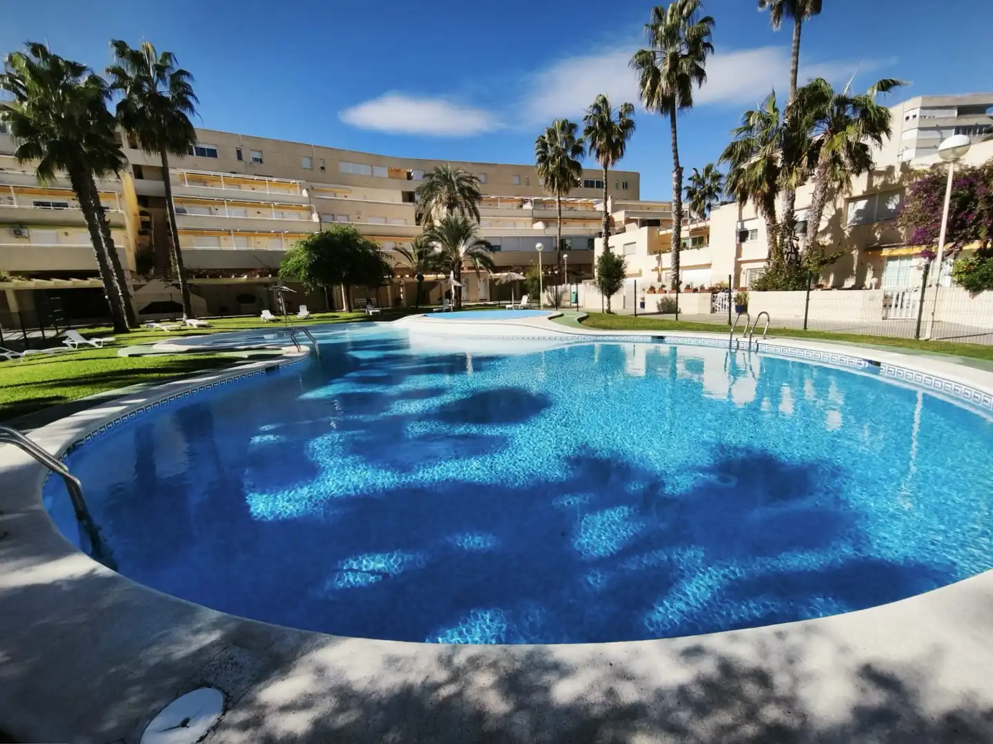 Swimming pool of Houses for sale in Alicante / Alacant  with Private garden, Terrace and Community pool