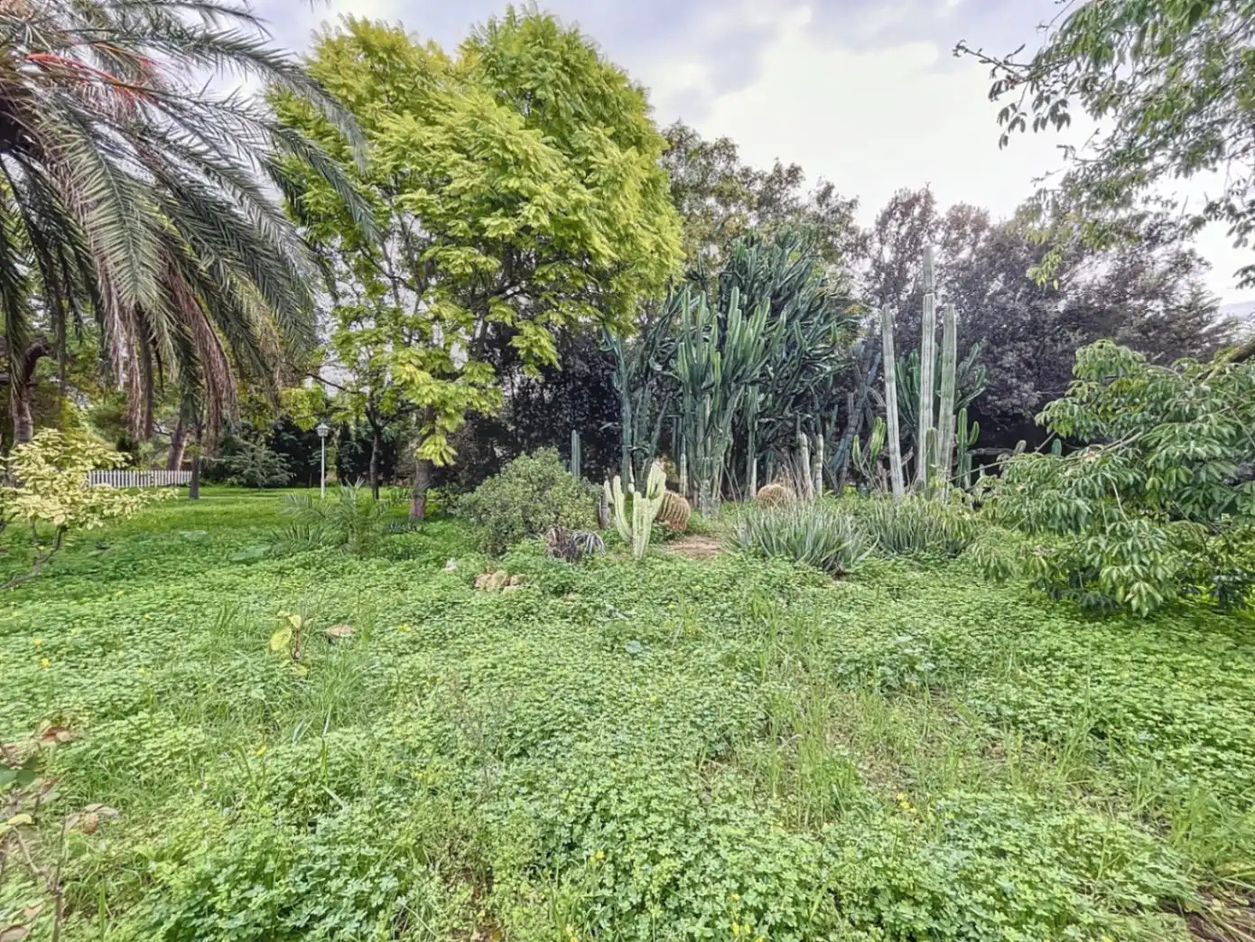 Chalet con terraza en venta en Levante Alto, imagen 35