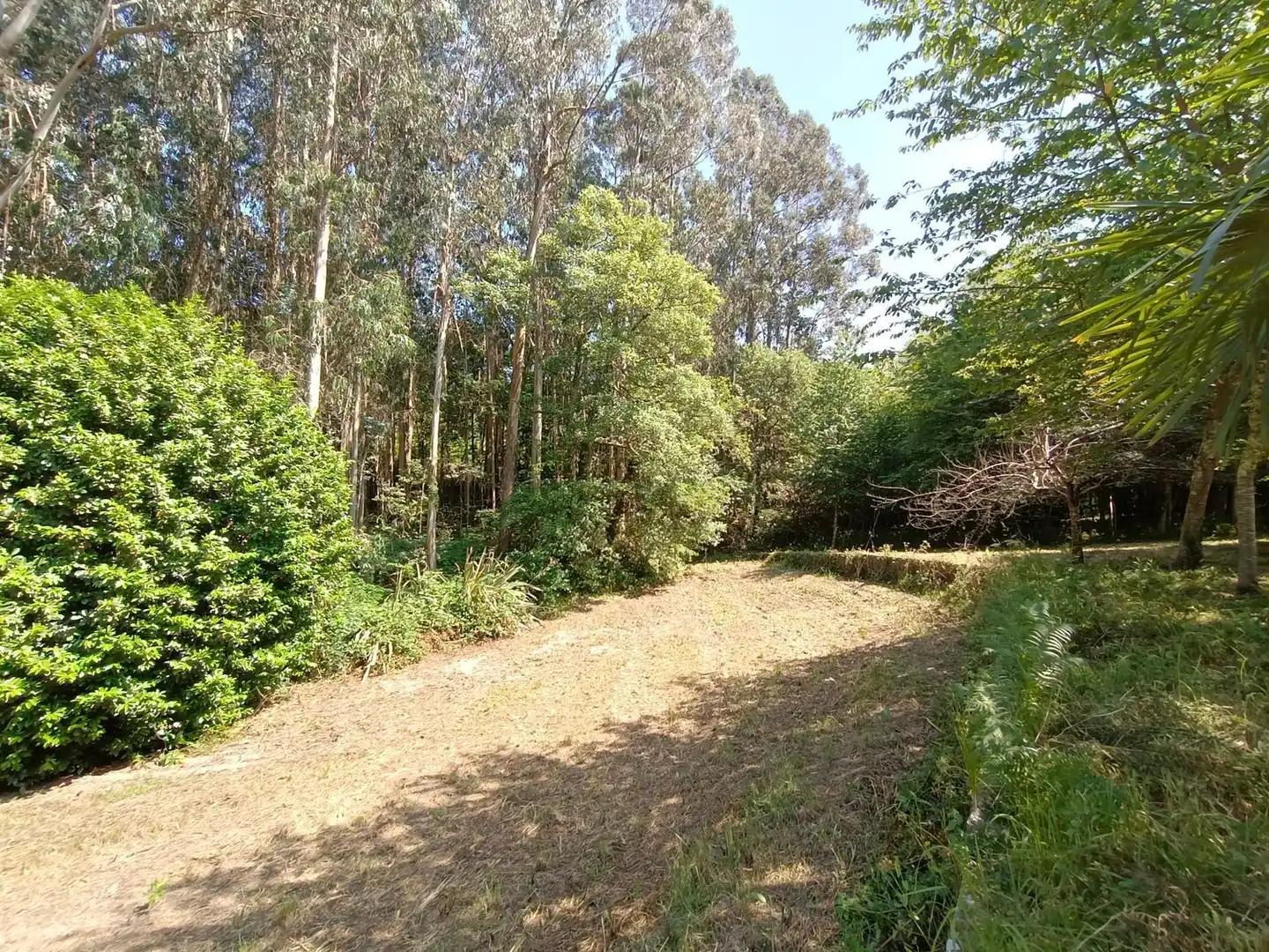 Rural land for sale in Parroquias Rurales, imagen 27