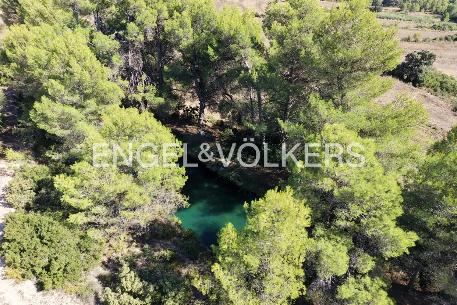 Terrain rustique à vendre à Requena, imagen 48
