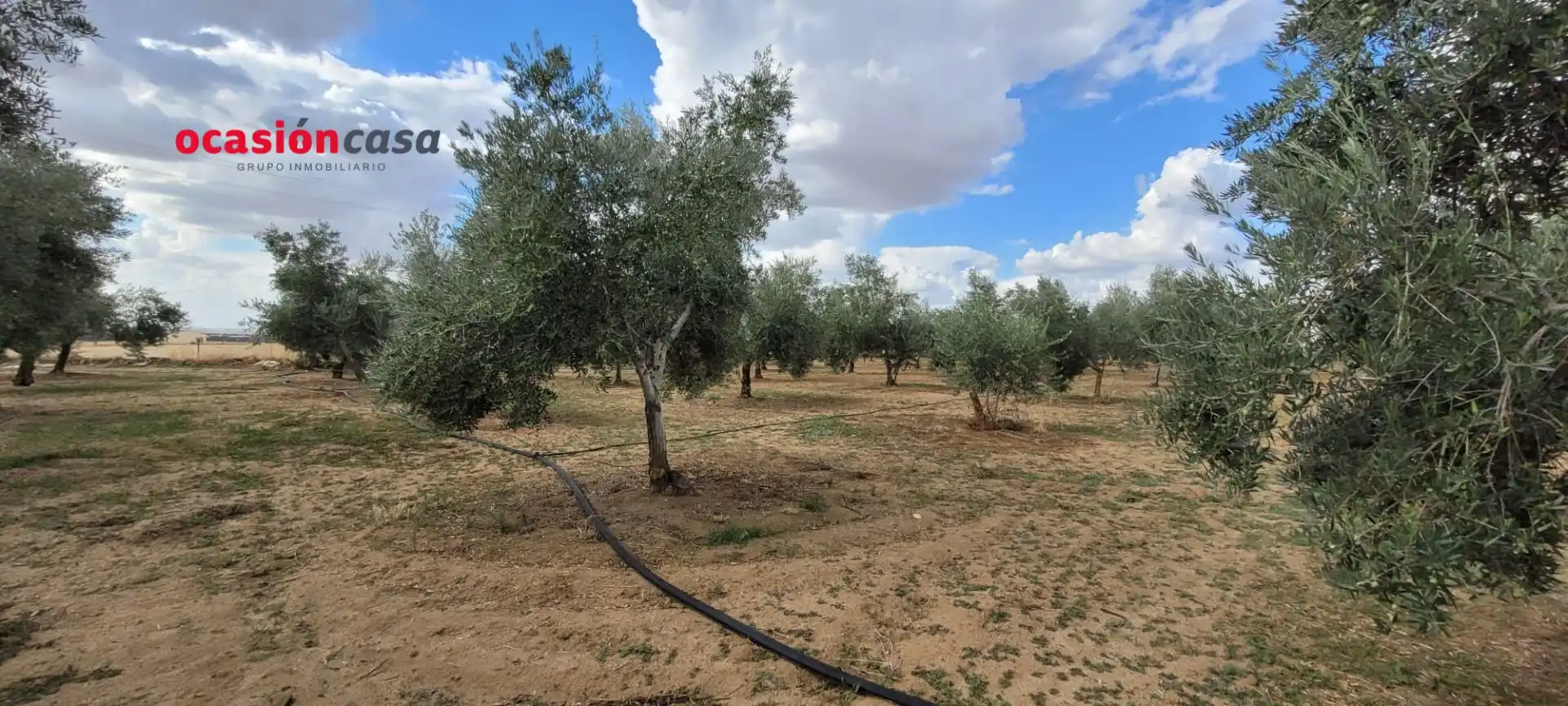 Casa rústica en venta en Alcaracejos, imagen 10