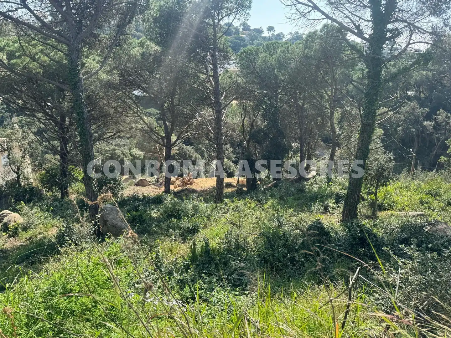 Residential land for sale in Serra Brava, imagen 5