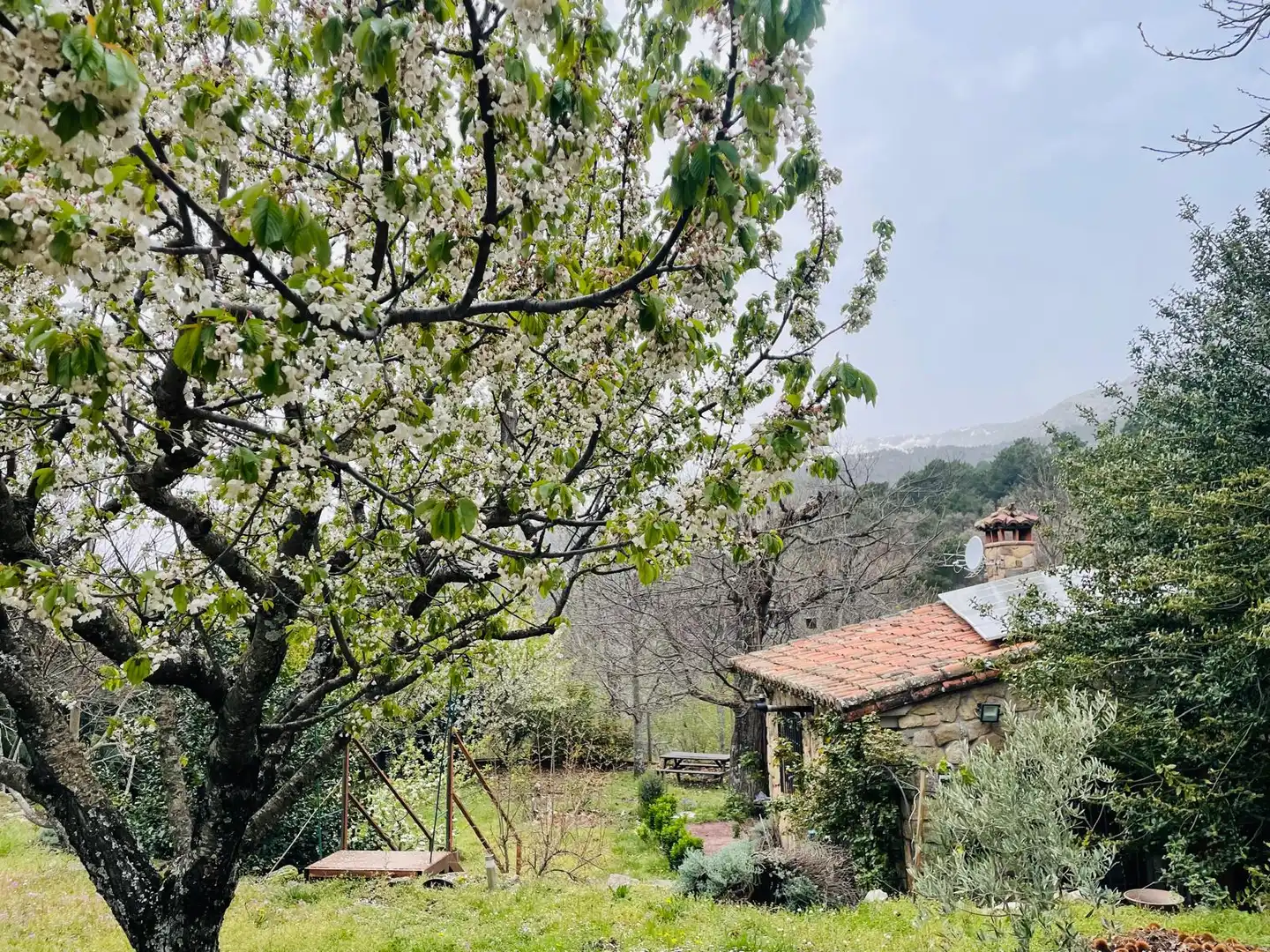 Garden of Country homes for sale in El Arenal   with Furnished