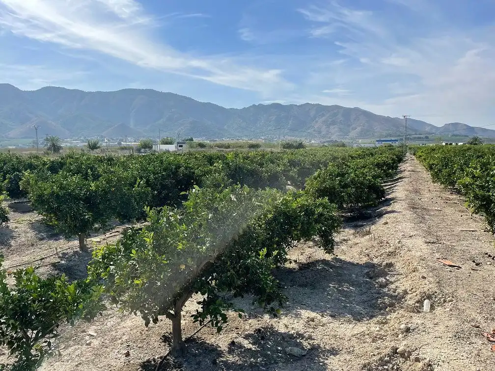 Vista exterior de Terreno en venta en Redován