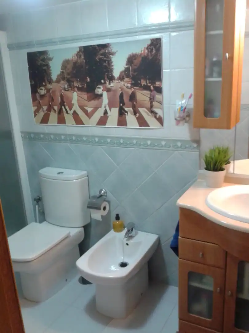 Bany de Apartament de lloguer en Málaga amb Aire condicionat, Calefacció i Moblat