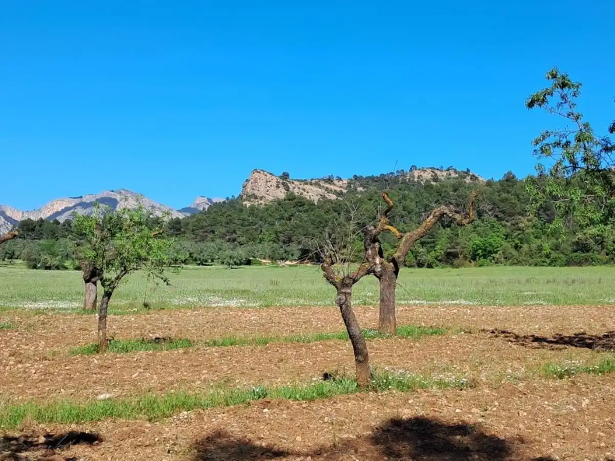 Rural land for sale in Horta de Sant Joan, imagen 10