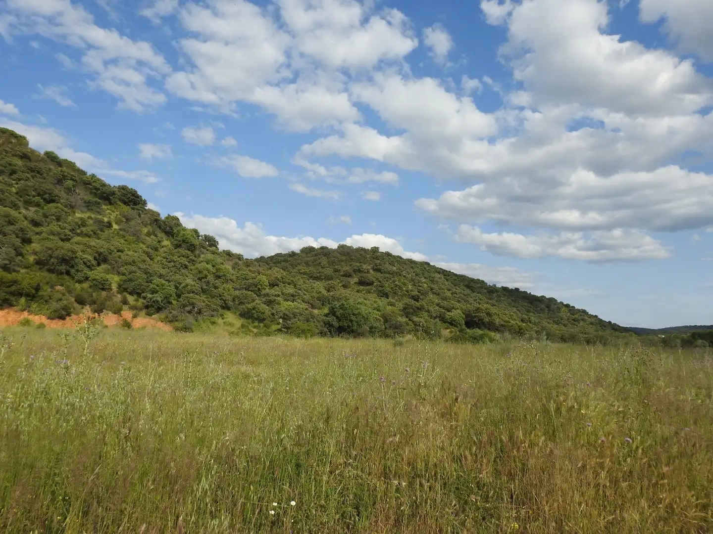 Land for sale in Belvís de la Jara