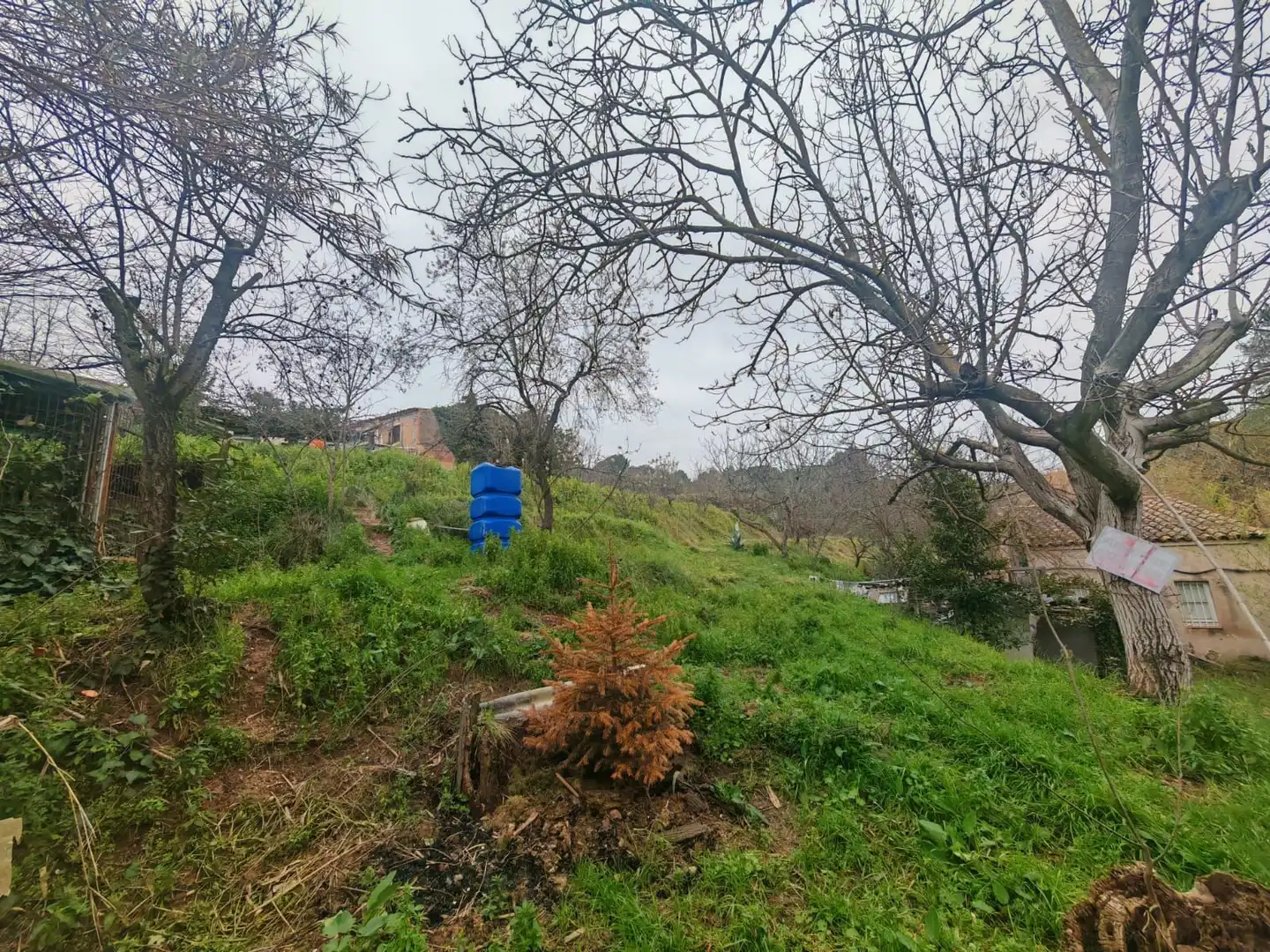 Terreni e lotti in vendita a 7, imagen 14