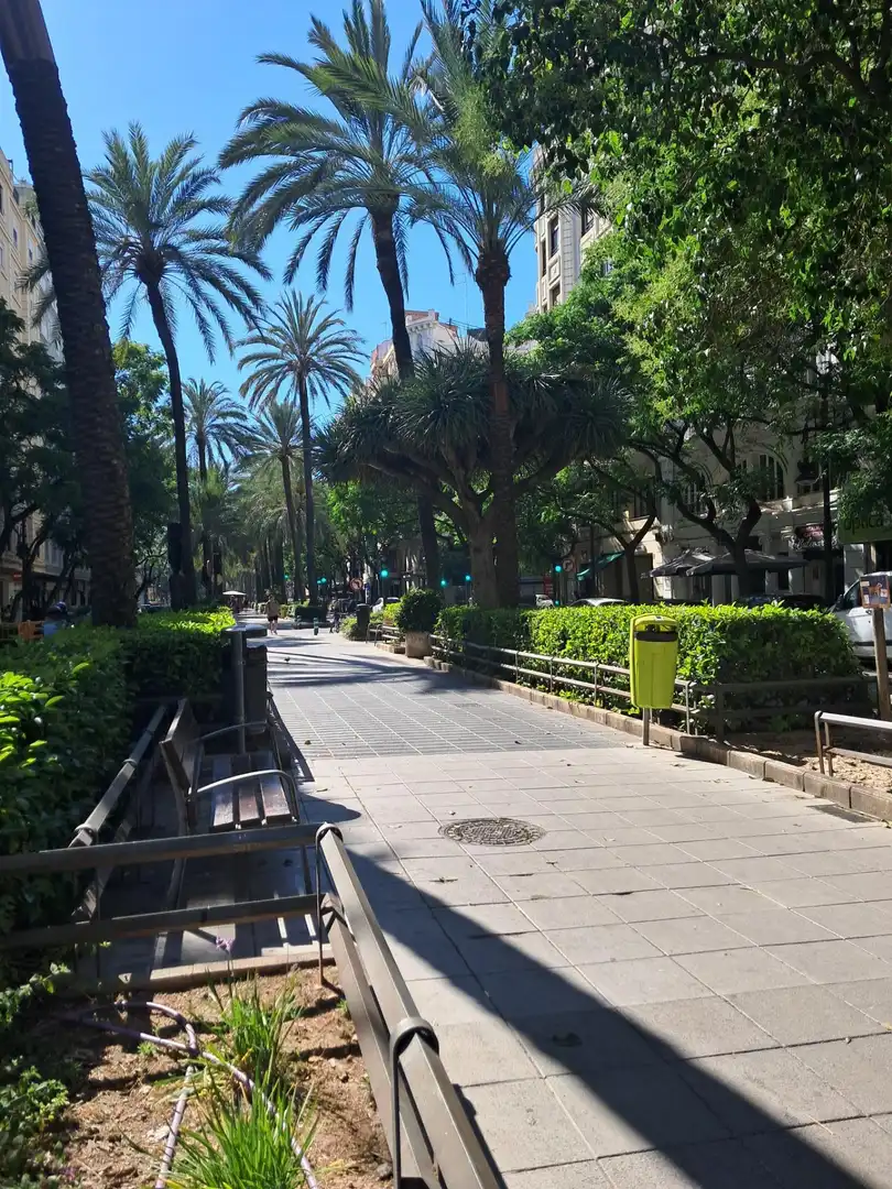 Appartement avec ascenseur à vendre à Avenida REGNE DE VALENCIA 65, imagen 40
