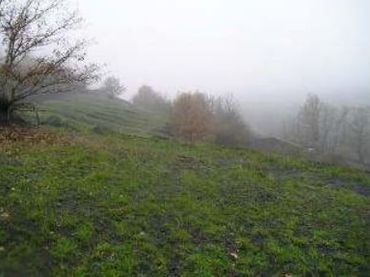 Terrenos y solares en venta en Matallana de Torío
