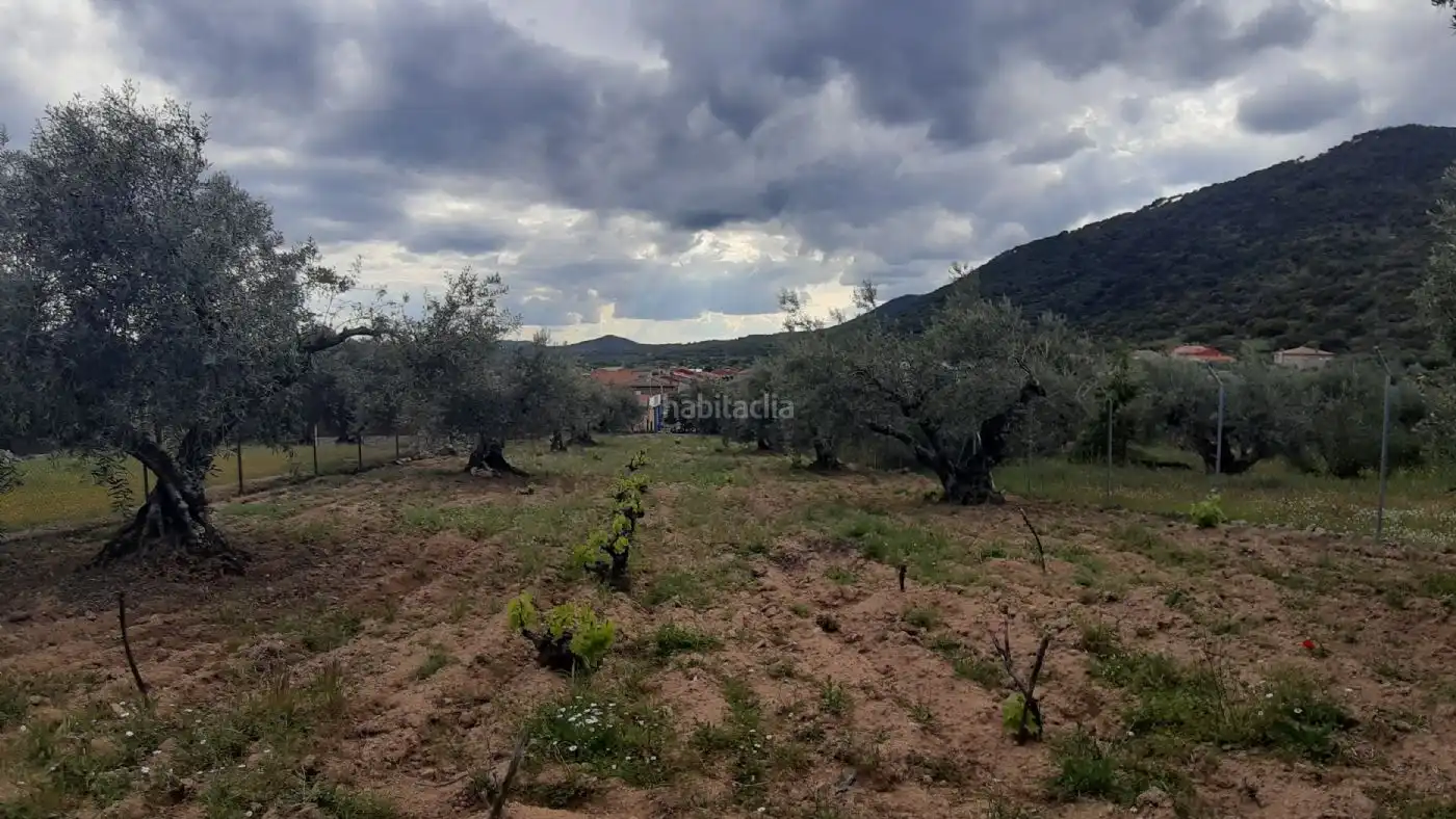 Wohnbaugrundstück zum Verkauf in Calle Pera Pere 6
