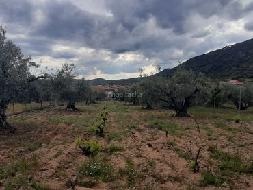 Terreno residenziale in vendita a Calle Pera Pere 6