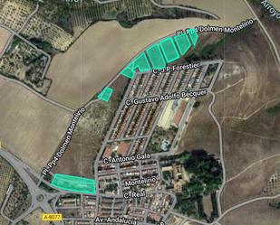 Land for sale in Castilleja de Guzmán