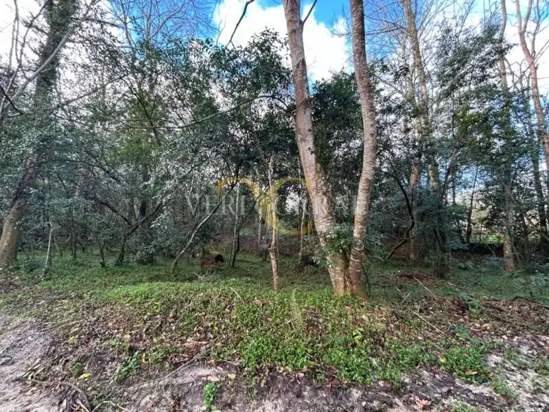 Terreny residencial en venda a San Roque del Acebal, imagen 4