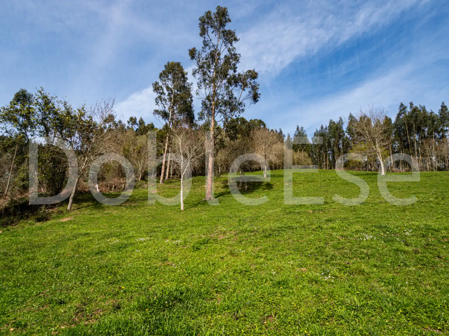 Terreny residencial en venda a Colunga - Barrio de Linares - Colunga 31, imagen 19
