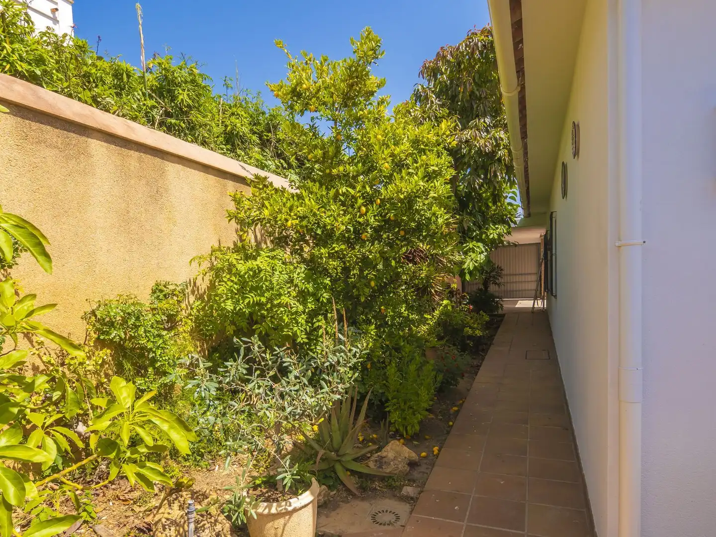 Chalet en venta en Carretera Nacional N-340, imagen 48