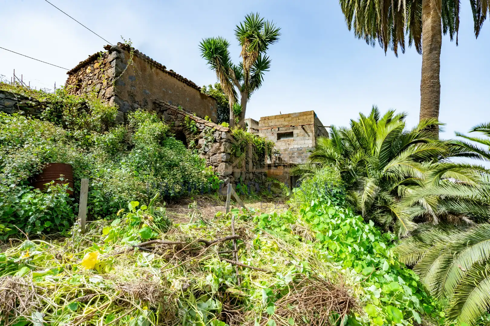 Finca rústica en venda en La Victoria de Acentejo