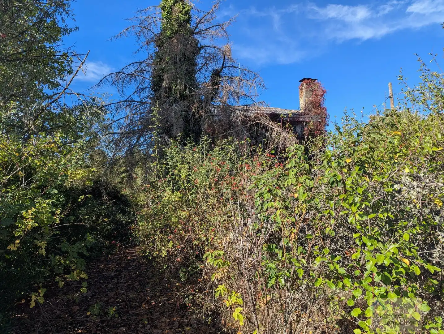 Casa amb piscina en venda a Valverde de la Virgen, imagen 5
