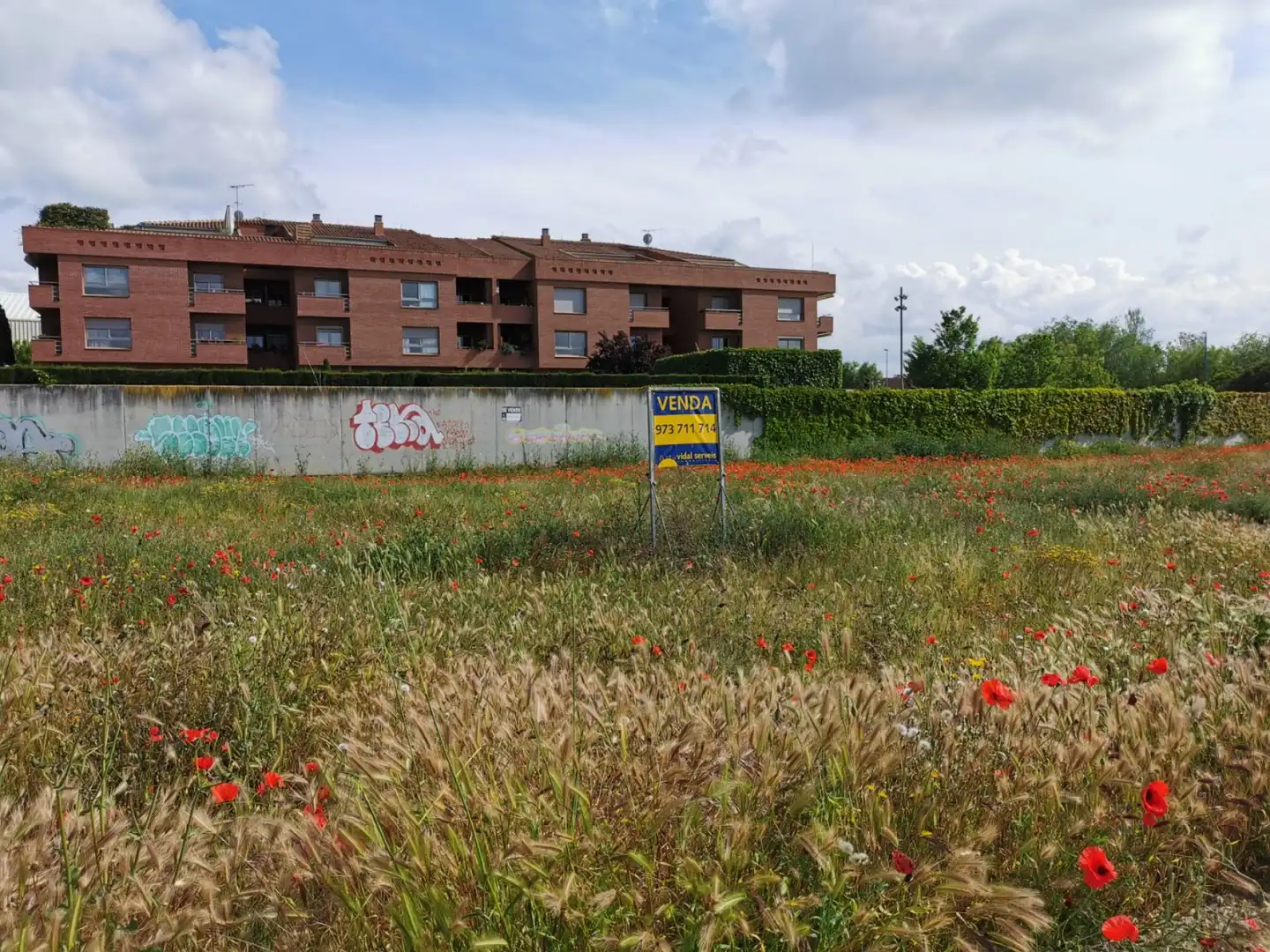 Wohnbaugrundstück zum Verkauf in Torregrossa 11, imagen 4