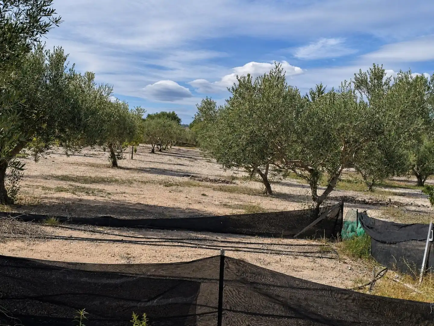 Villa mit Garten zum Verkauf in Albaida, imagen 27
