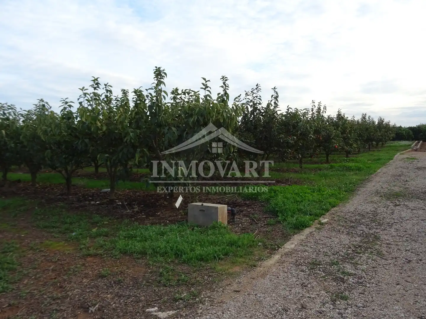 Terreno rústico en venta en Alginet, imagen 2