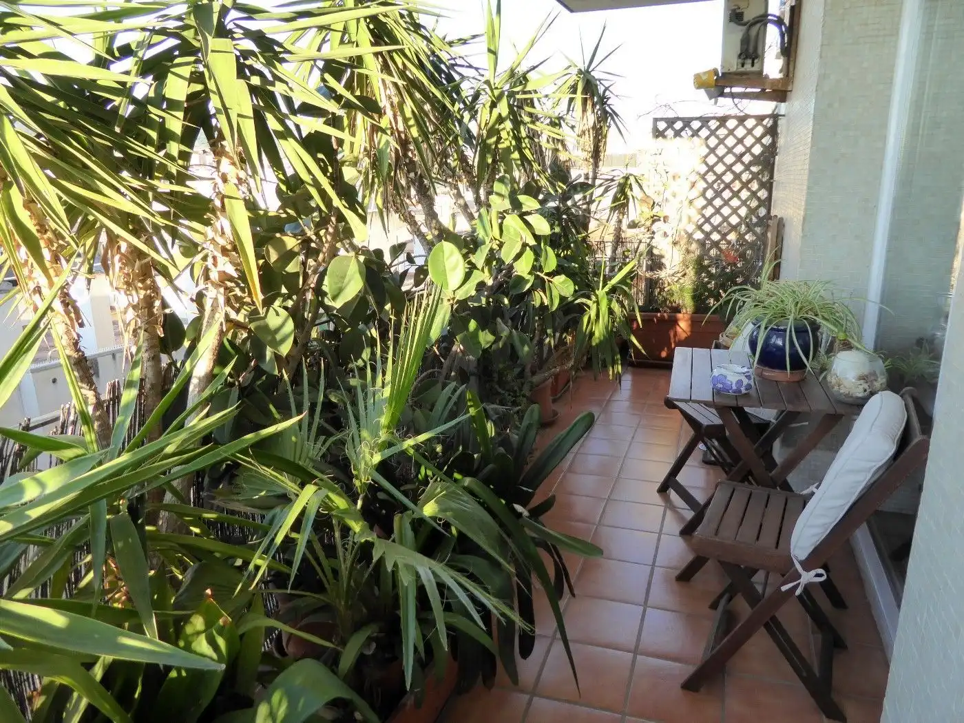 Wohnungen zur Miete in Avinguda del Maresme, 449, Havana