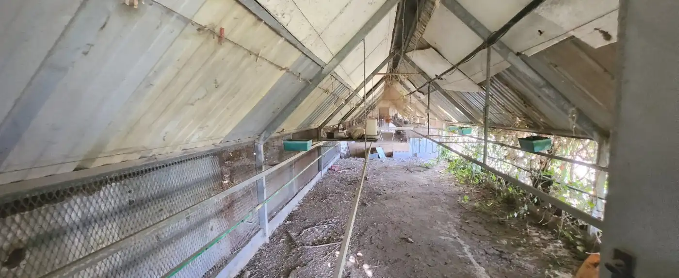 Terreno rustico in vendita a Vial Camino, imagen 24