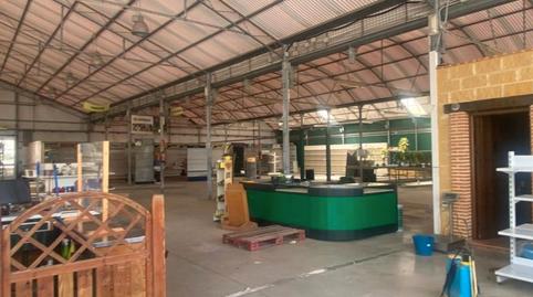 Foto 3 von Fabrikhallen zur Miete in Cártama, Málaga