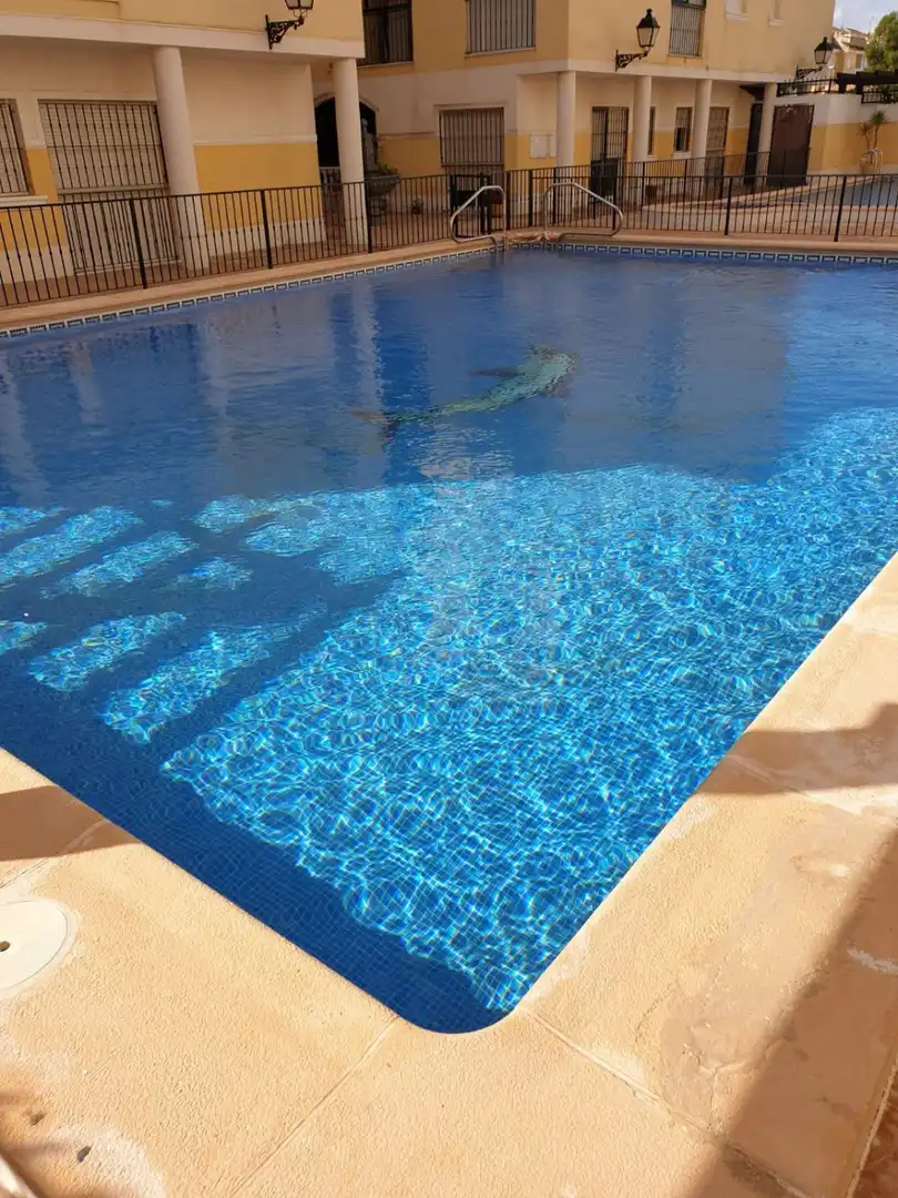 Apartment with balcony for sale in Formentera del Segura