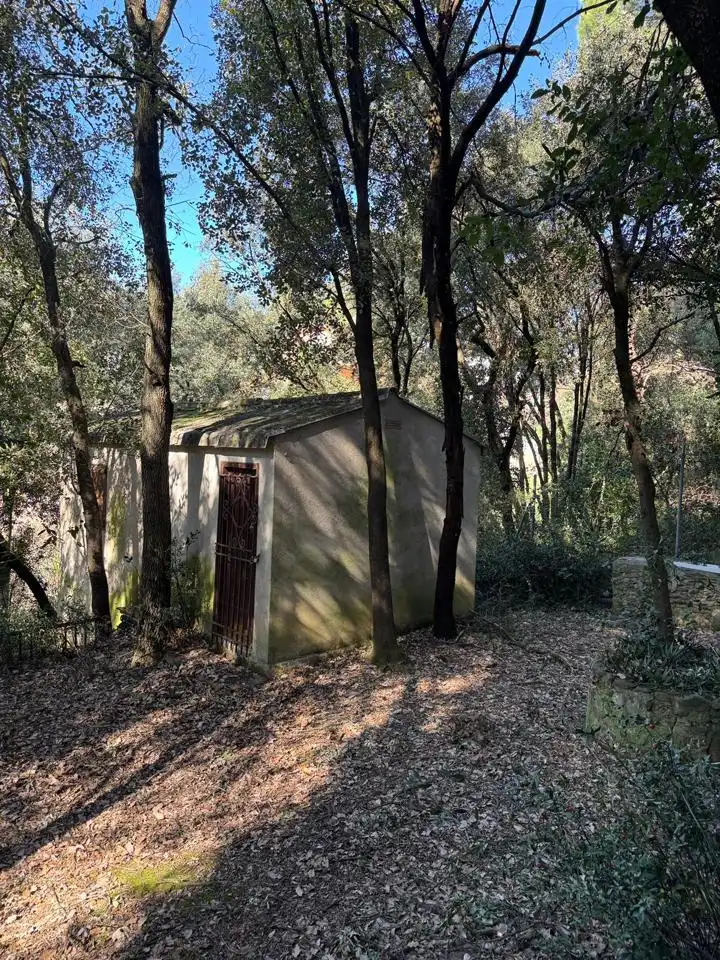 Grundstücke und Bauplätze zum Verkauf in De Lluis Millet, imagen 28