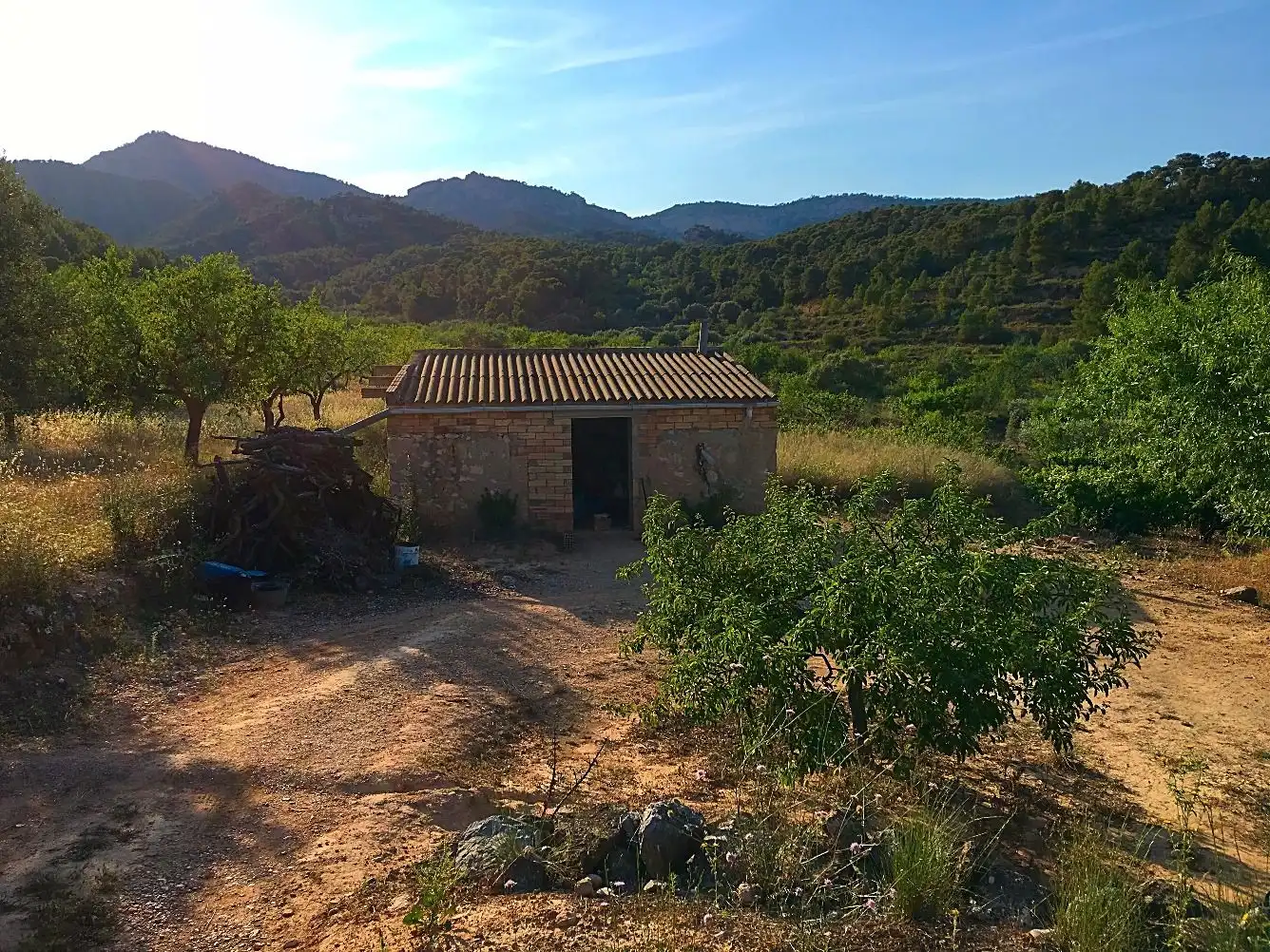 Maison rustique à vendre à El Pinell de Brai