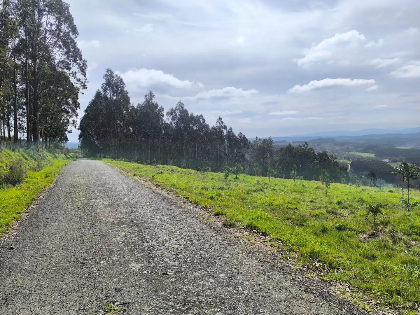 Vista exterior de Casa o xalet en venda en Palas de Rei amb Jardí privat