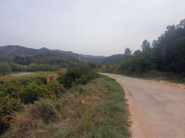Terreny rústic en venda a Benifallet