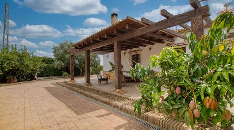 Foto 3 de Casa o chalet en venta en Aldea de Vilo Periana, Periana, Málaga