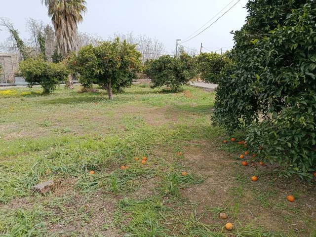 Terreno residencial en Venta en Rincón de Seca