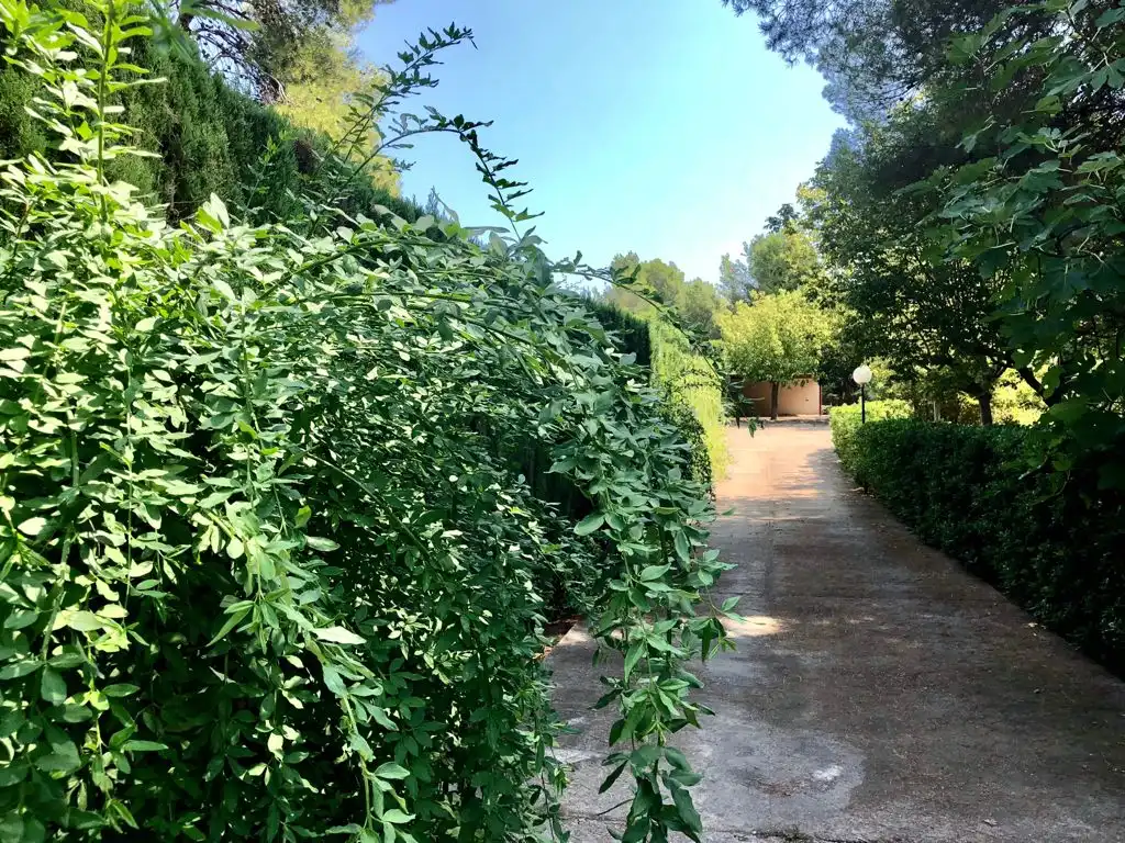 Villa con piscina in vendita a Avenida las Moreras 7, imagen 44