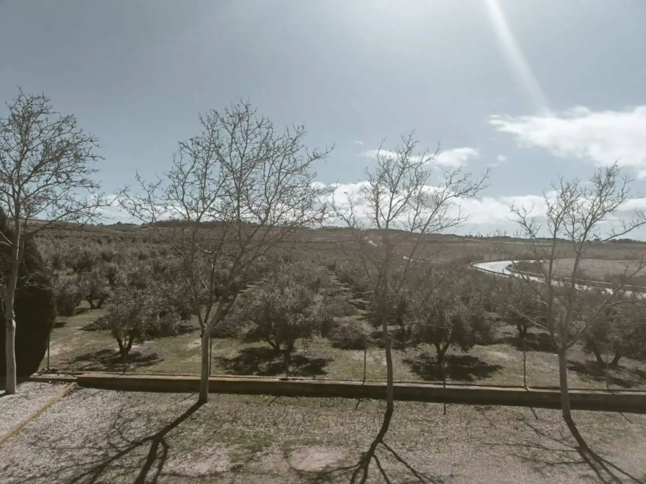 Inmuebles singulares en venta en Cuevas del Campo, imagen 5