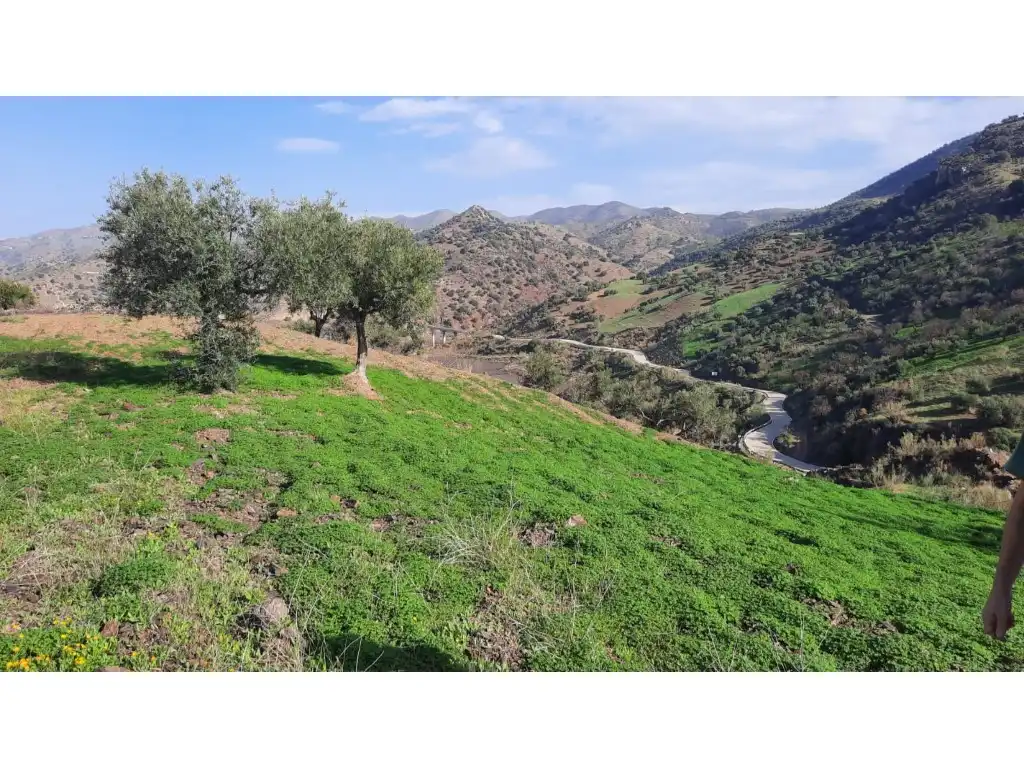 Terrenos y solares en venta en Almogía, imagen 24