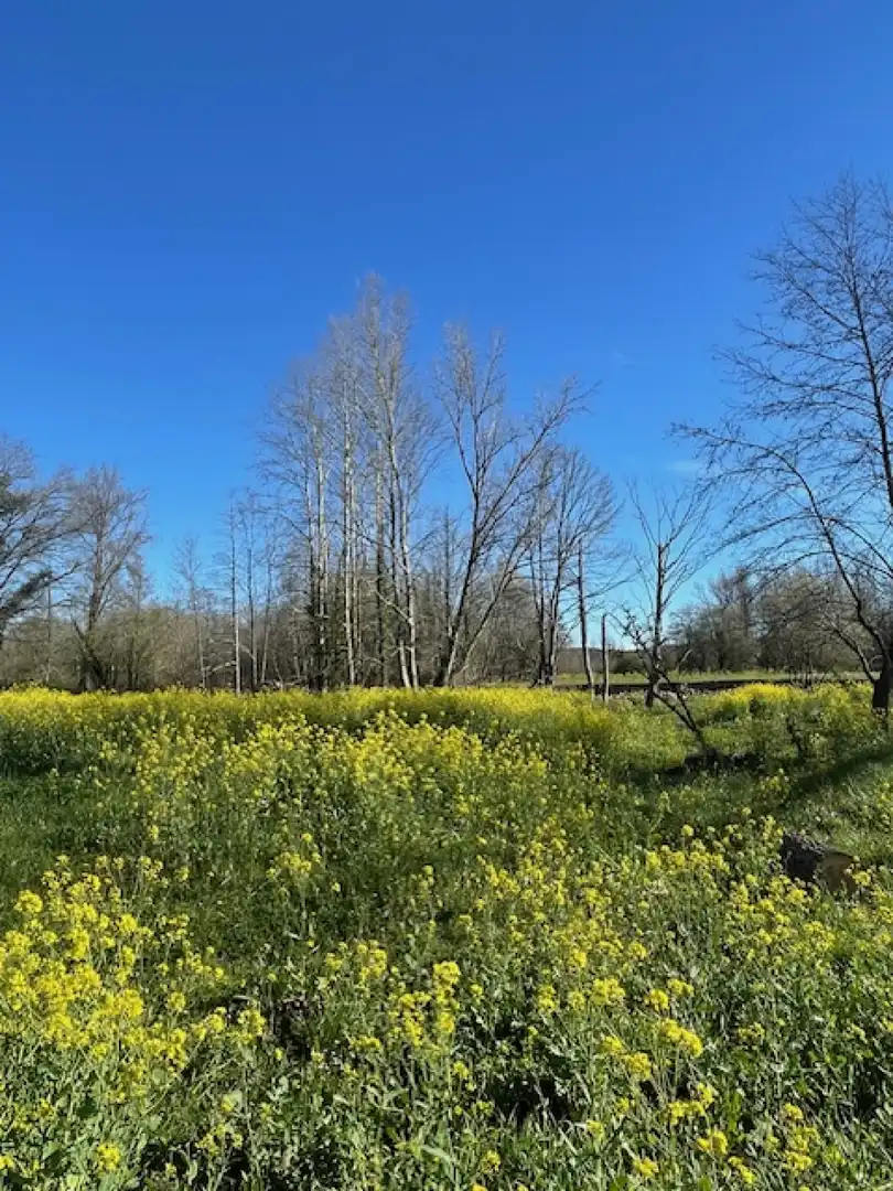 Terreno en venta en Ontoria - BO ONTORIA, 103, Cabezón de la Sal