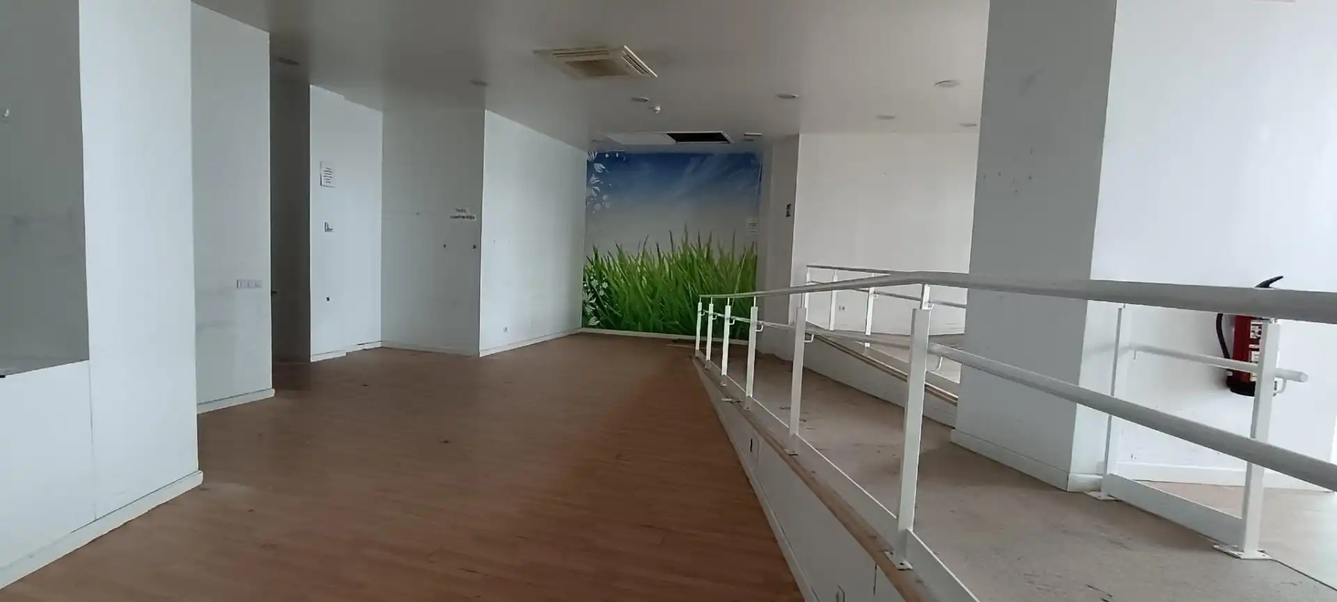 Gewerbefläche zur Miete in Avenida de Rubine, imagen 13