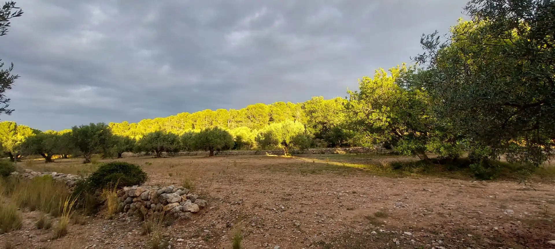 Rural land for sale in Miami Platja, imagen 11