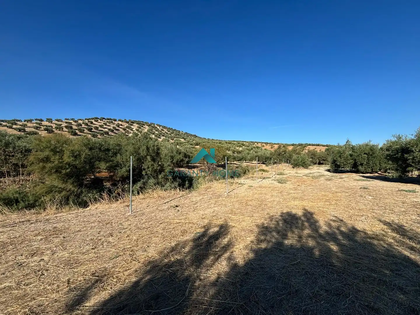 Terreno rústico en venta en Torredonjimeno, imagen 4