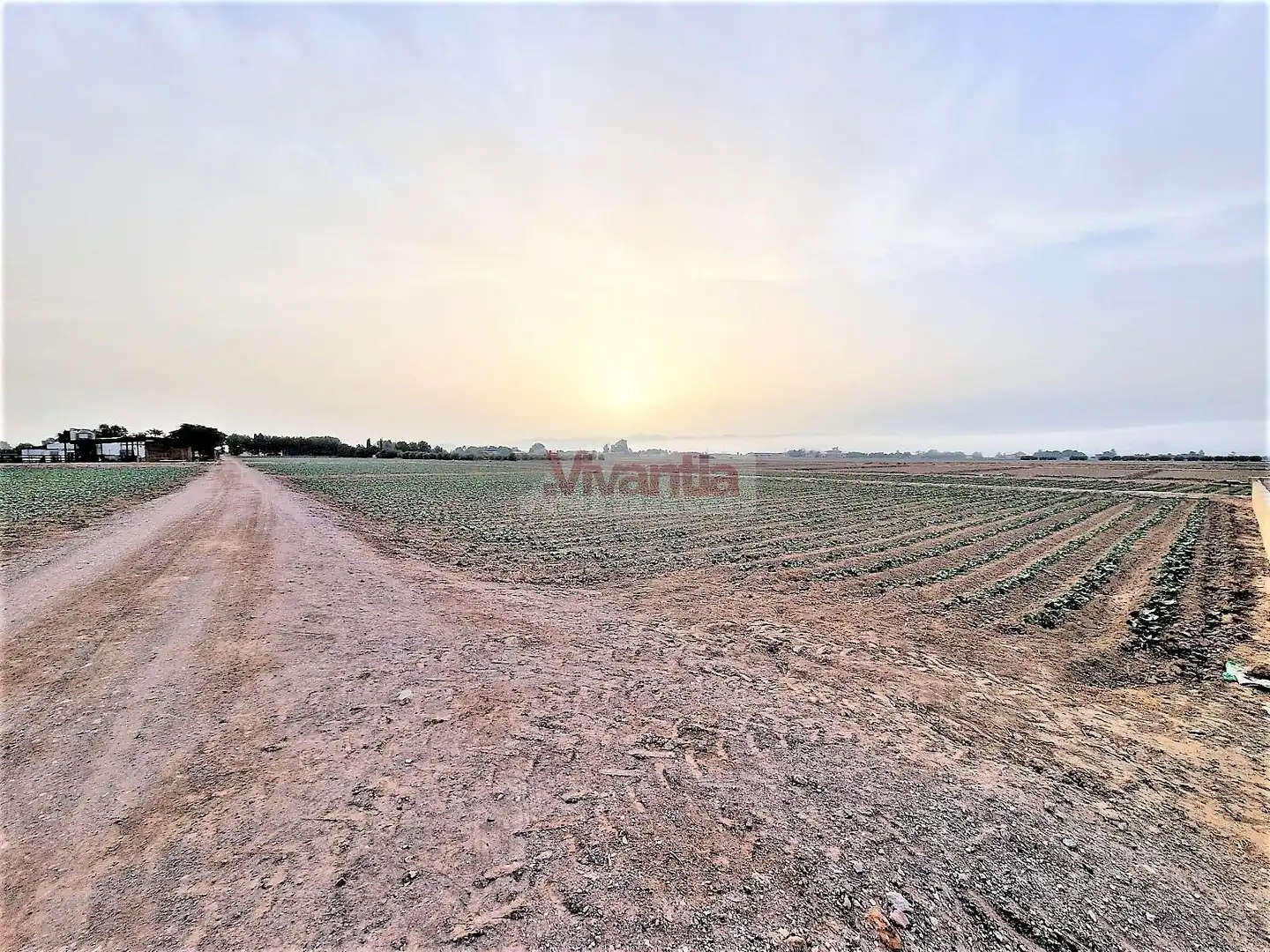 Residential land for sale in Pedanías Centro, imagen 6