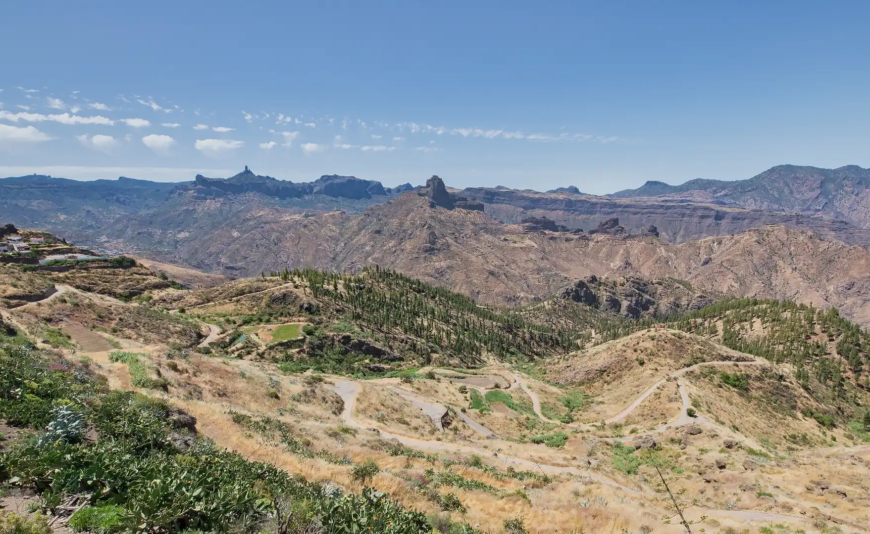 Vista exterior de Finca rústica en venta en Artenara con Terraza