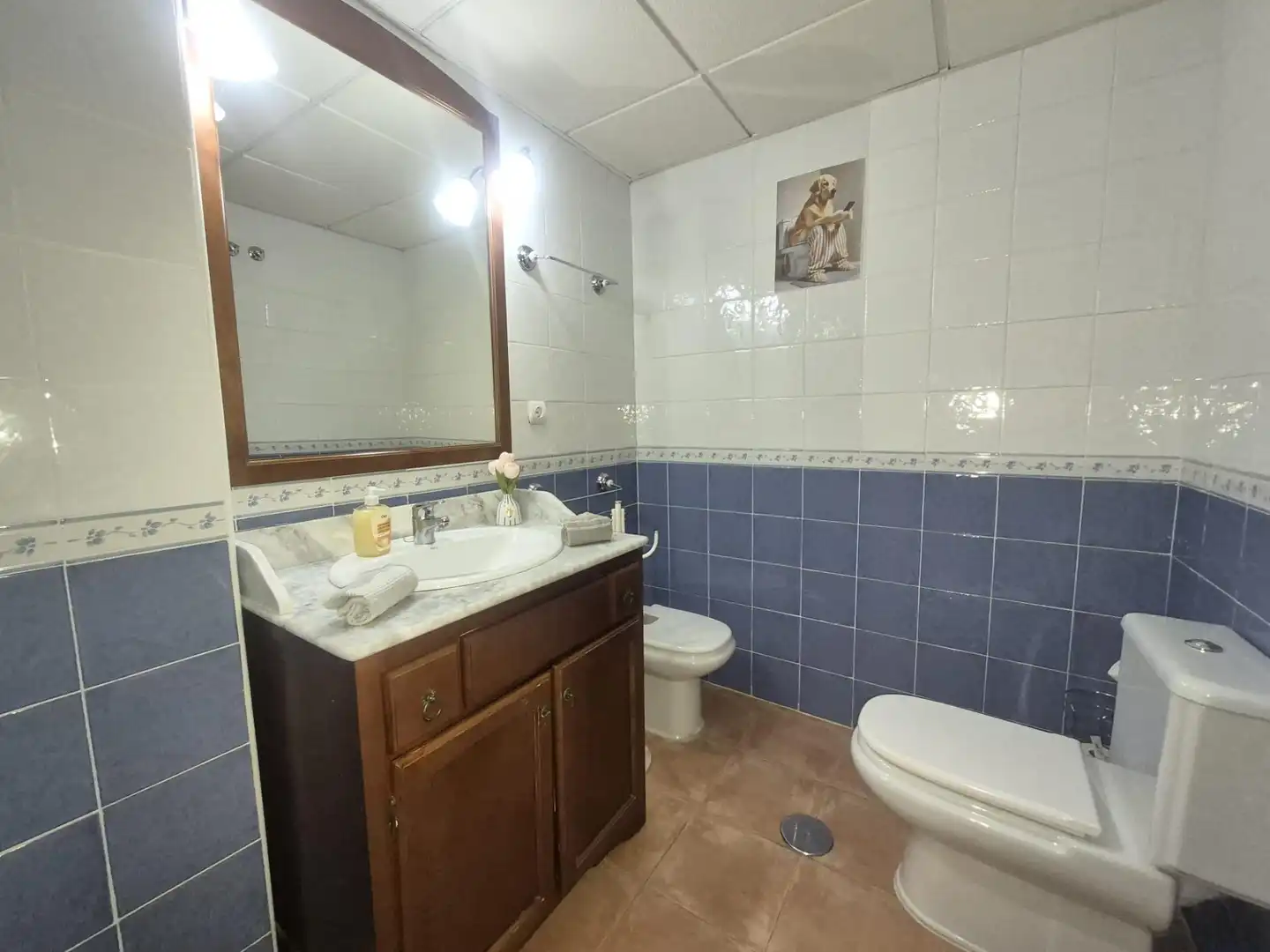 Planta baja en venta en Camino MORO MANCO, Marina de la Torre