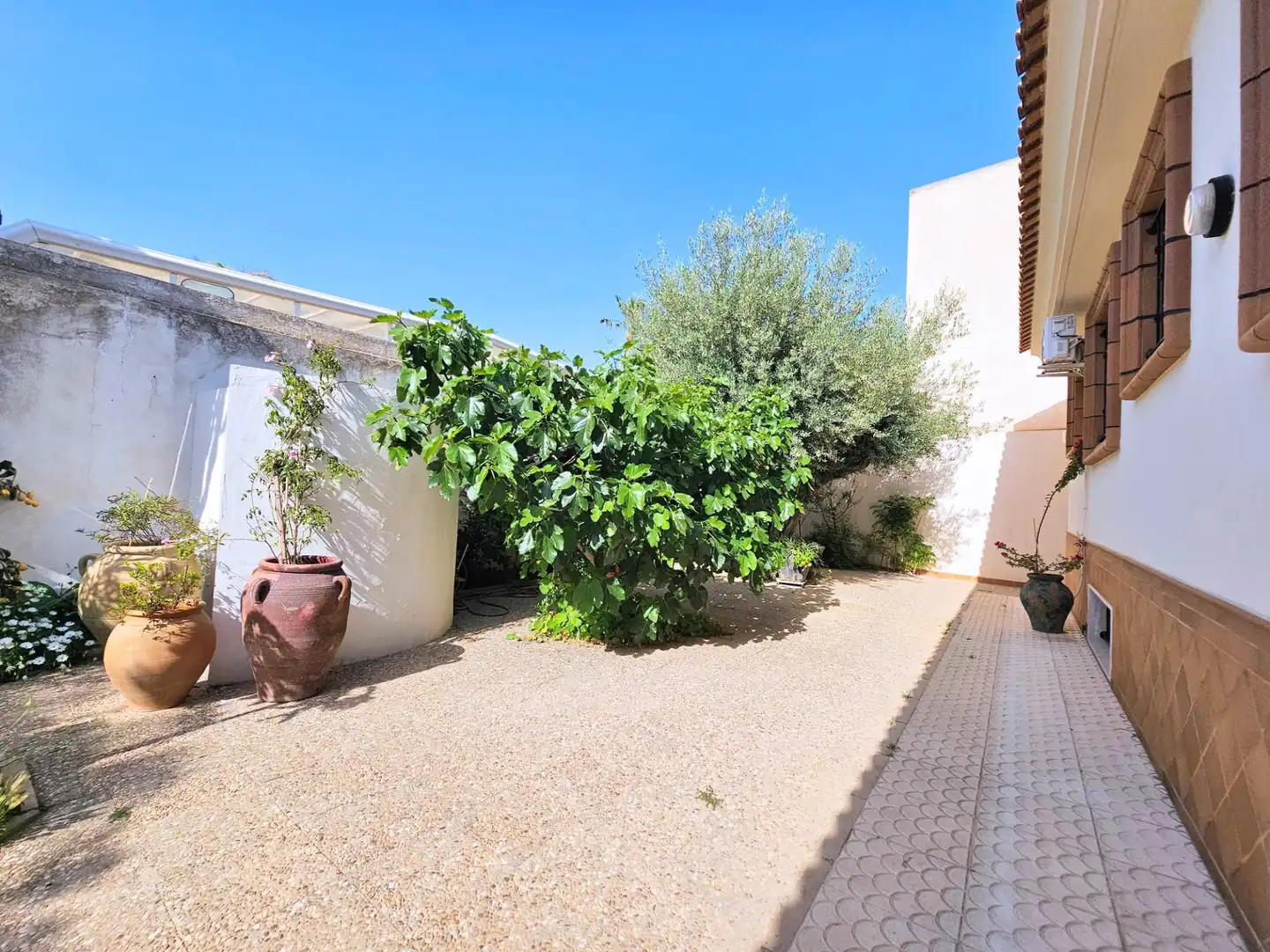 Casa o chalet en venta en Calle LA PINTA, San Pedro del Pinatar ciudad